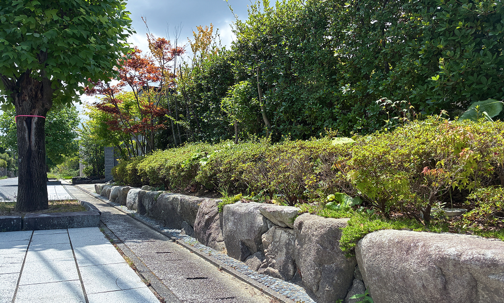 2026年7月撮影　分譲地内遊歩道