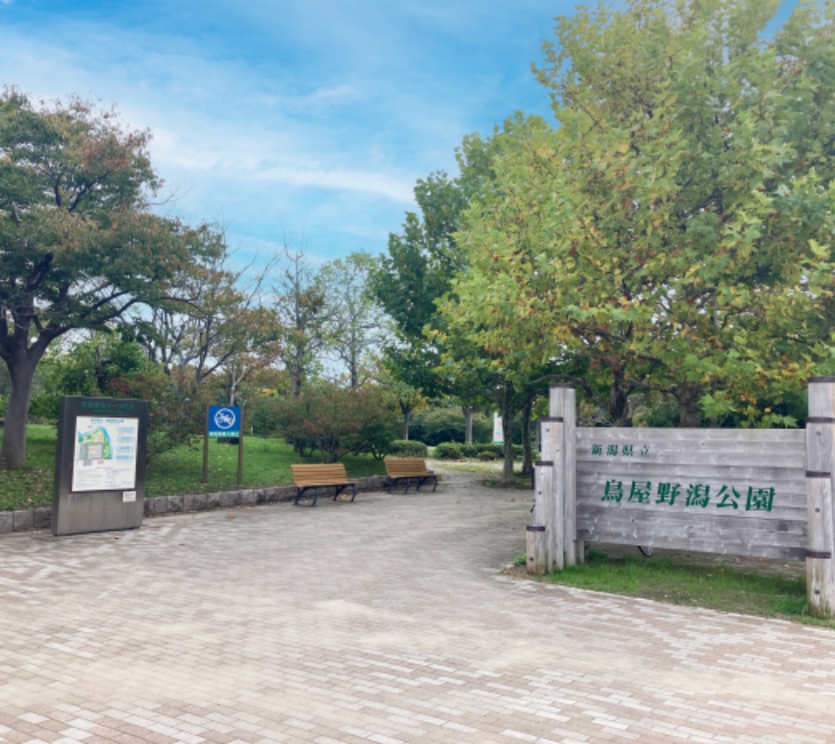 新潟県立鳥屋野潟公園