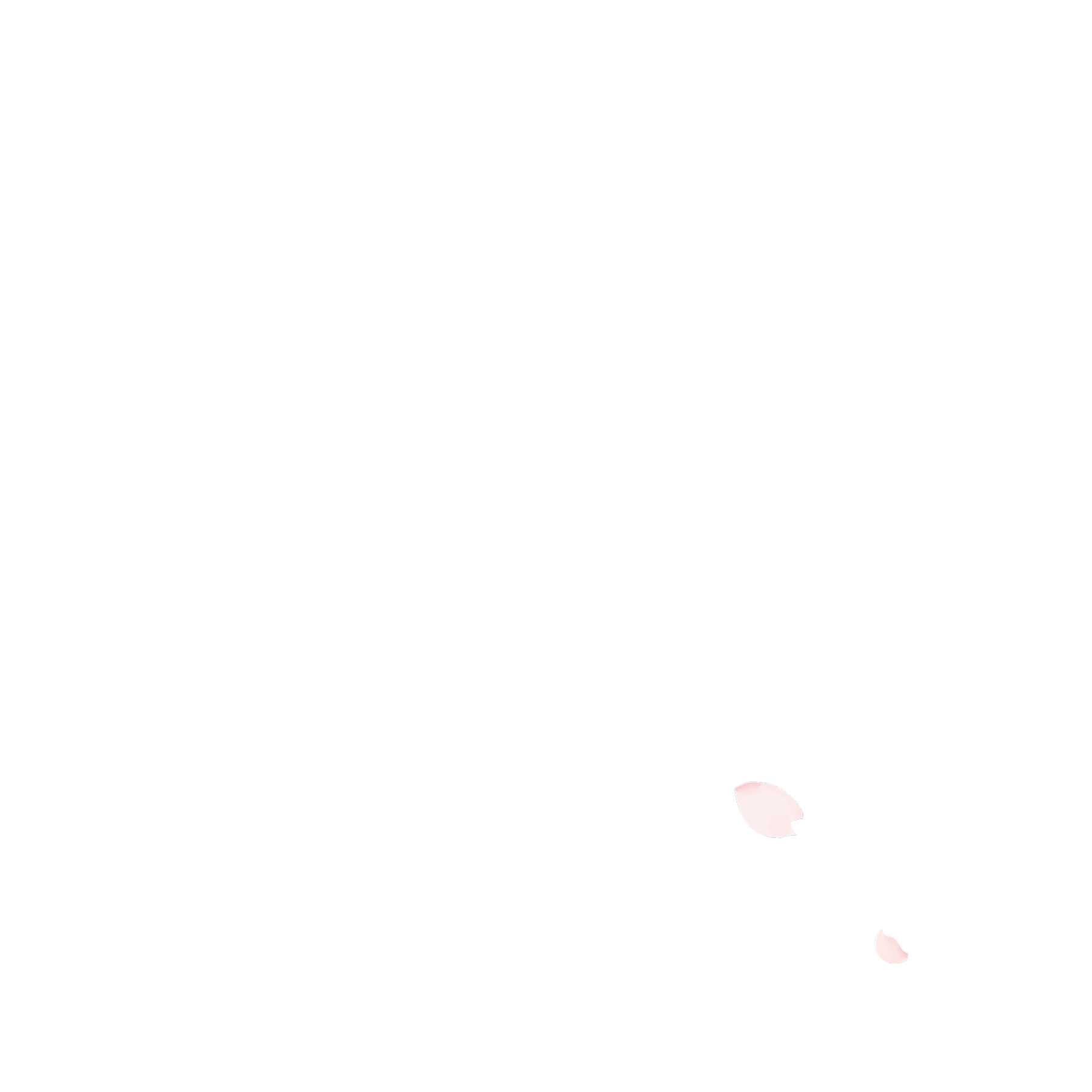 スライドショー用桜1