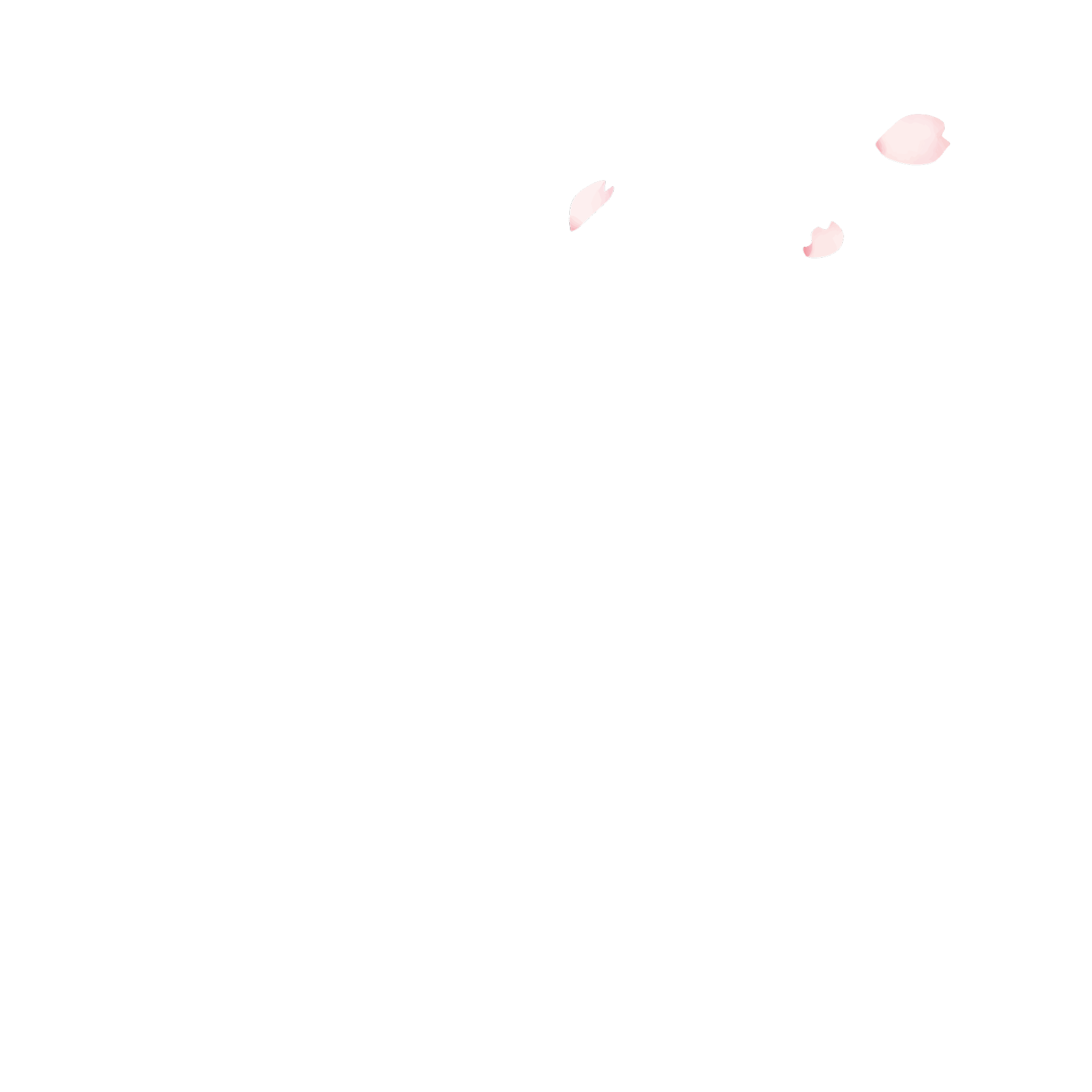 スライドショー用桜2