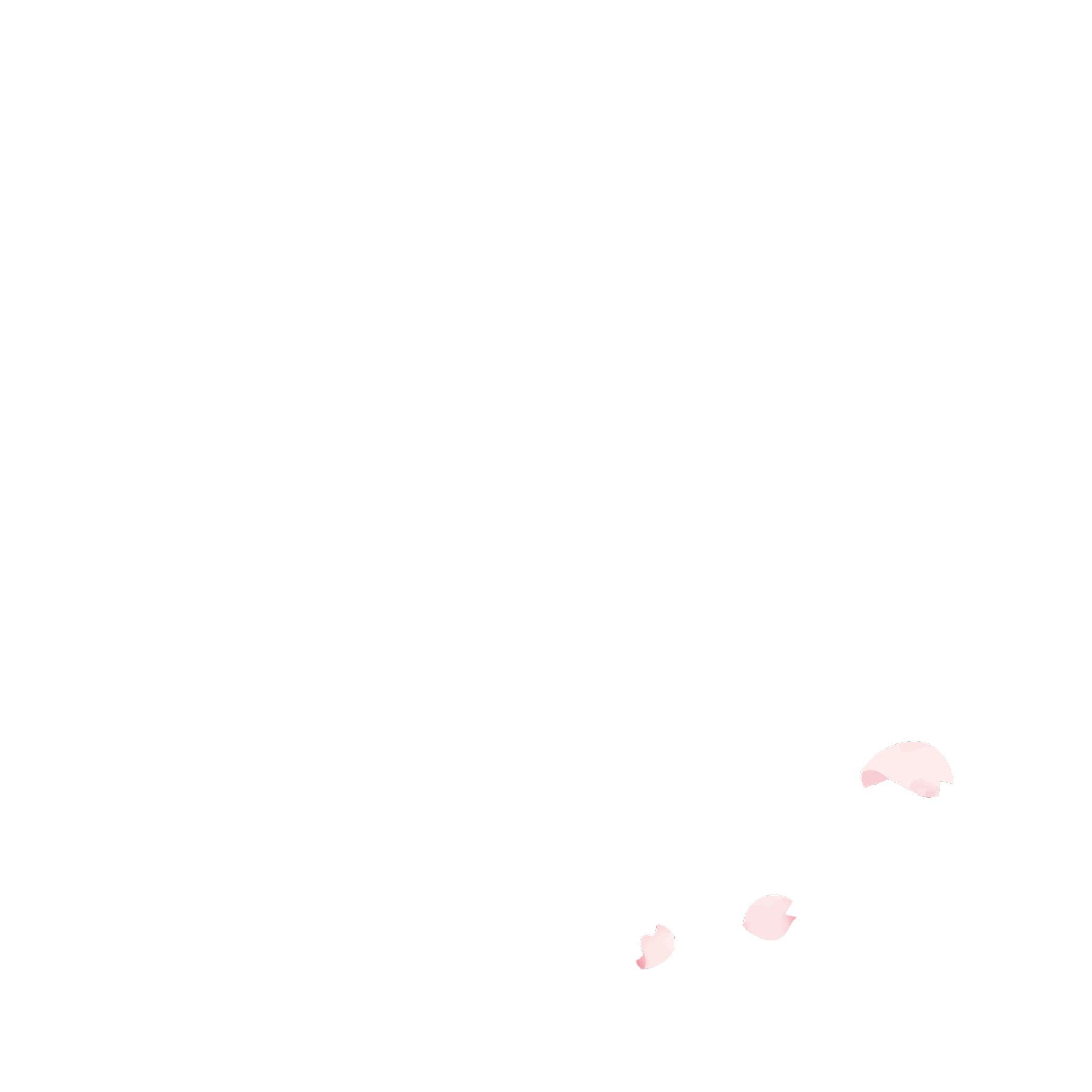 スライドショー用桜3