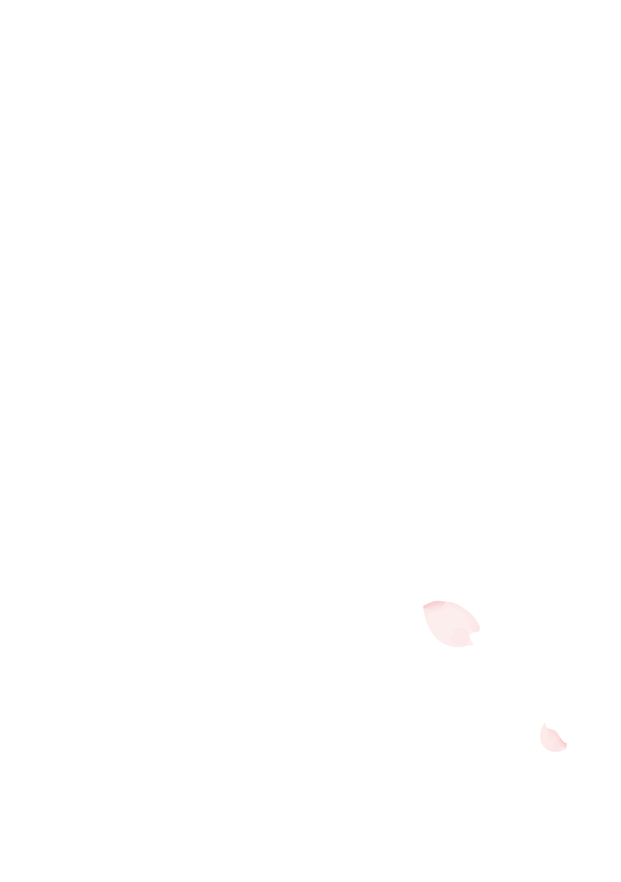 スライドショー用桜1