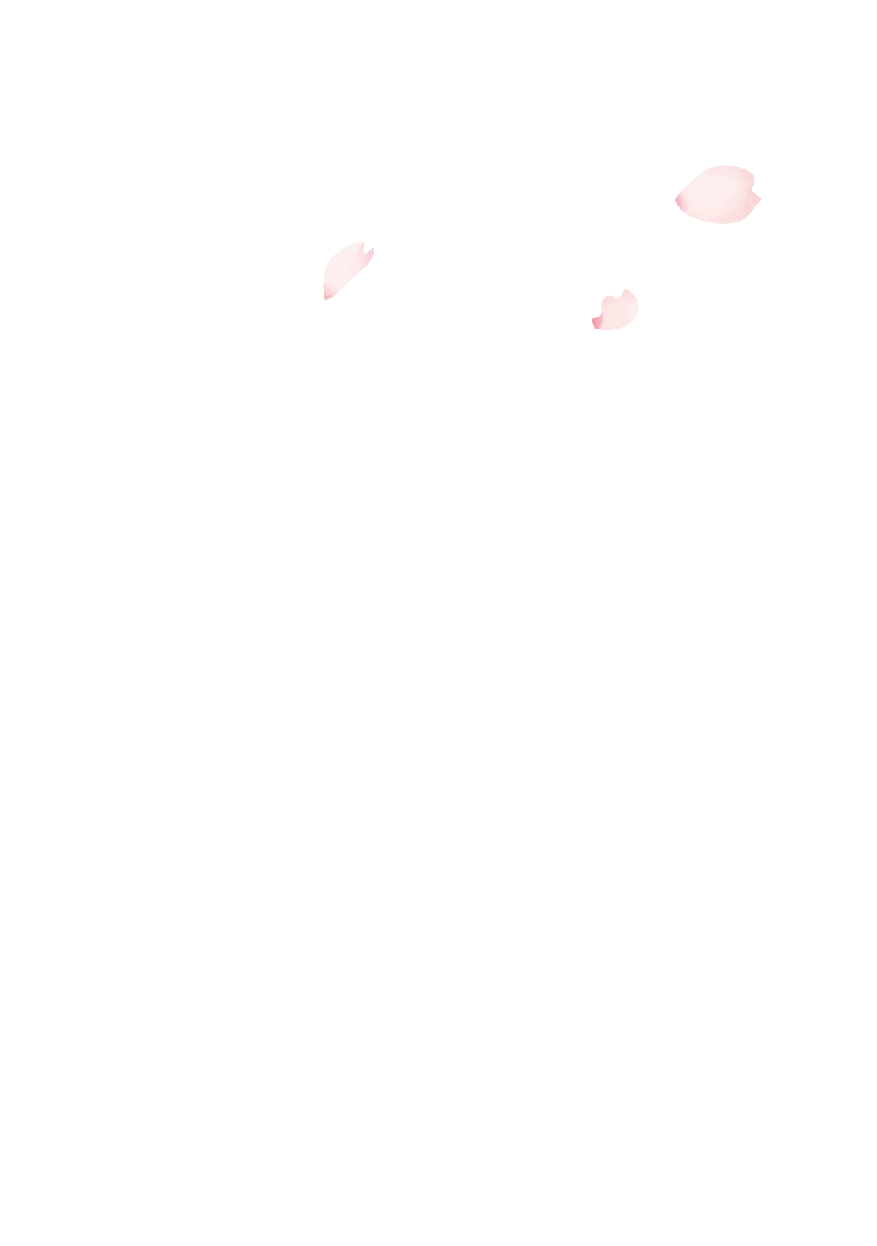 スライドショー用桜2