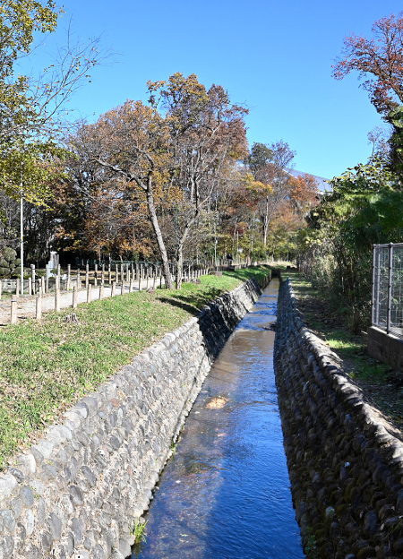 野火止用水