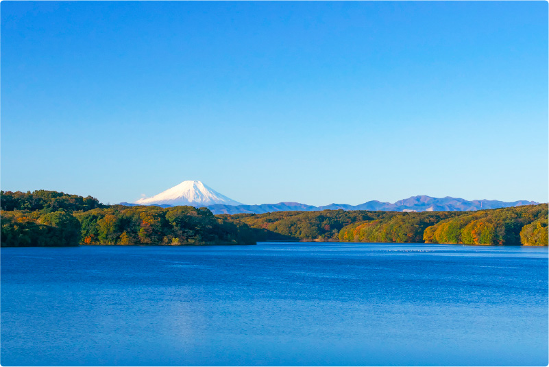 狭山湖