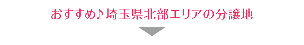 おすすめ♪埼玉県北部エリアの分譲地
