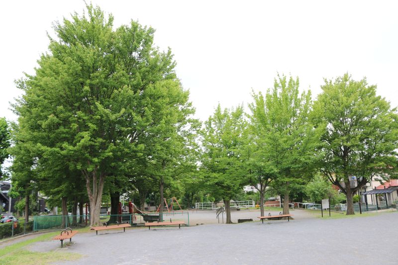 「桜回廊」に寄り添うファミリーにぴったりの街。さいたま市緑区大間木エリアの生活環境を見てきました！（埼玉県さいたま市）