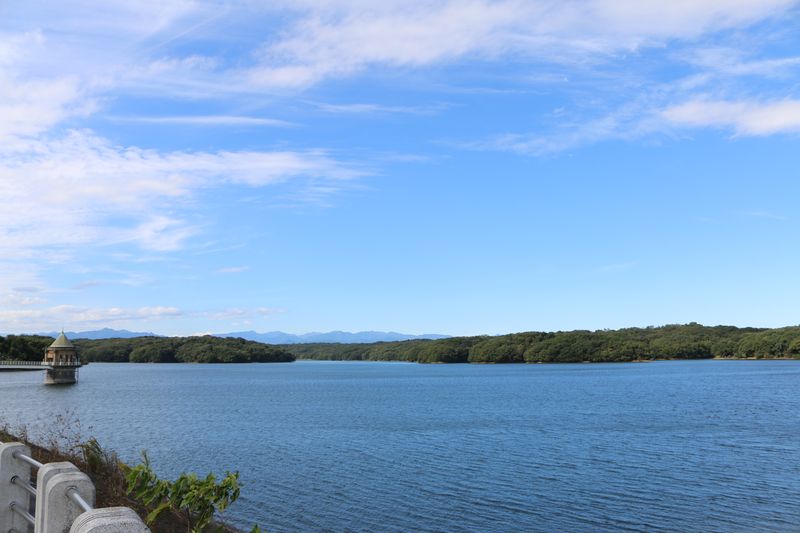 「狭山湖」の湖畔には雑木林が広がり、散策やバードウォッチングをする人々も