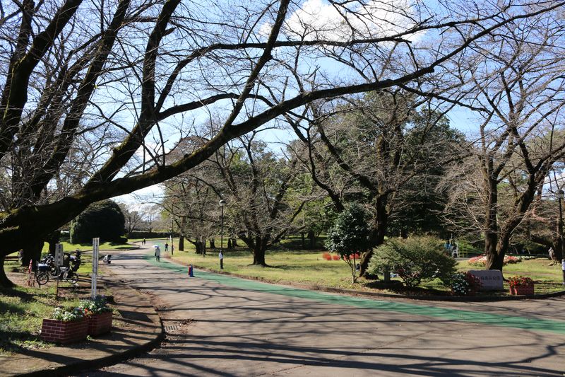 緑豊かな「狭山稲荷山公園」