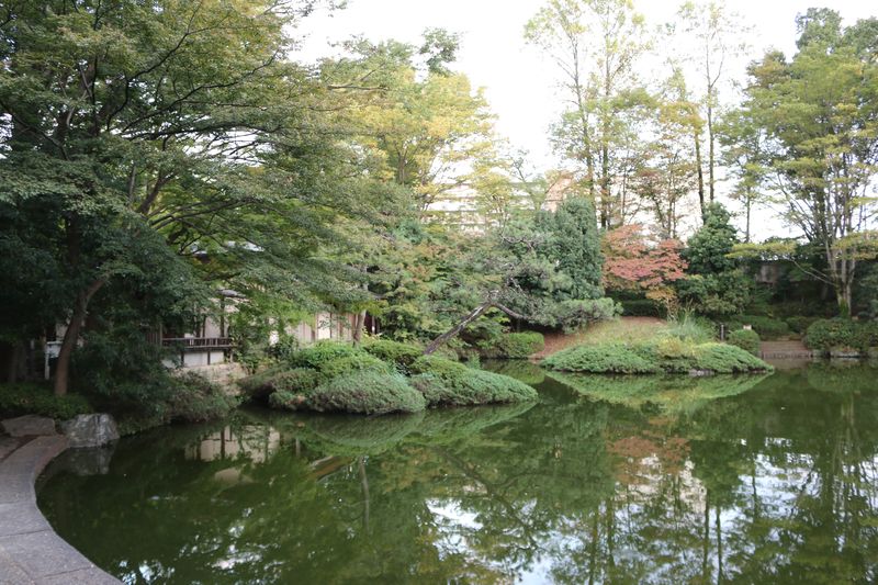 奥秩父産の自然石で石組された池と滝が特徴的な「愛宕公園」