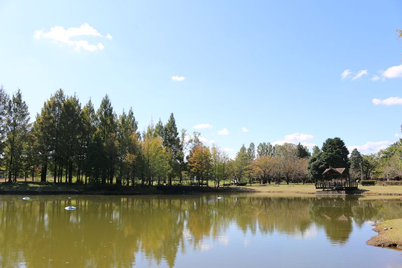 「彩の国入間公園」