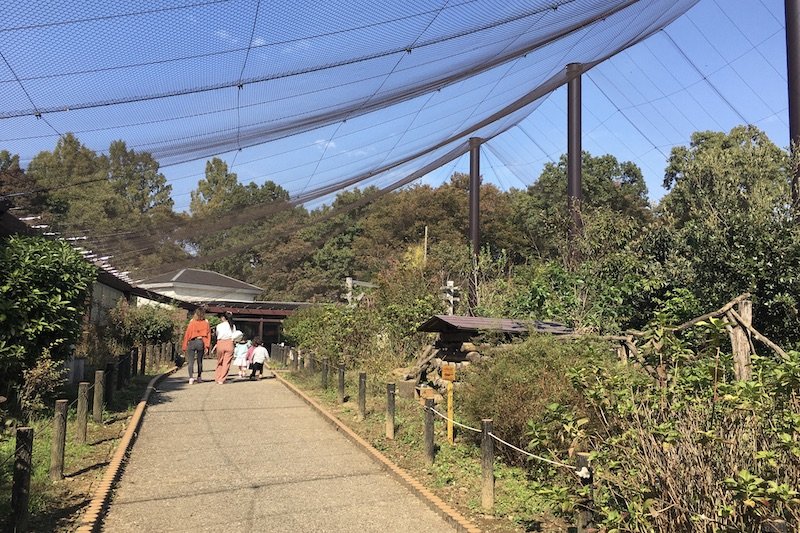 「市民の森 見沼グリーンセンター」のリス園