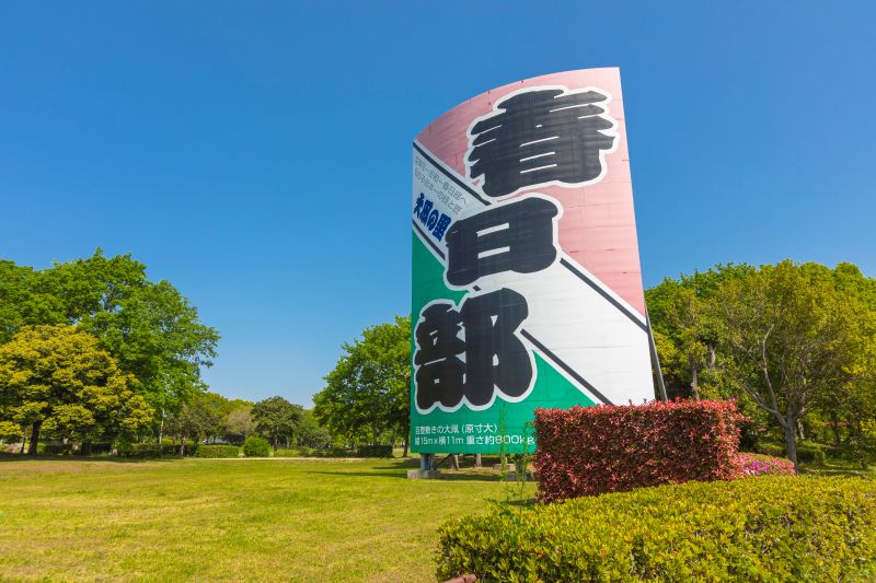「レジデンシャルパークSHOWA(庄和総合公園)」に展示されている原寸大の大凧