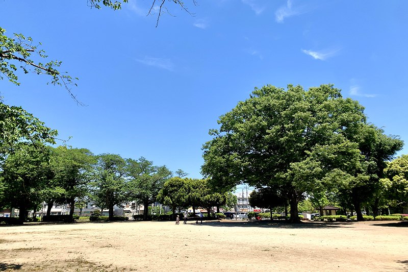 「ゆりが丘公園」