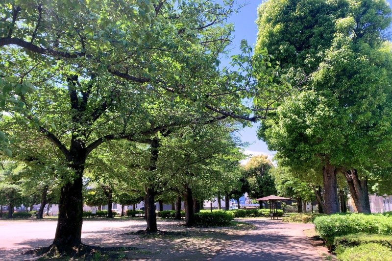 「ゆりが丘公園」