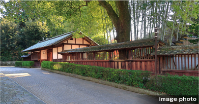 イメージフォト