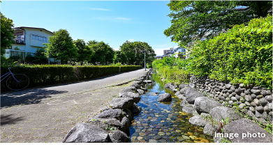 イメージフォト