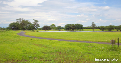 イメージフォト