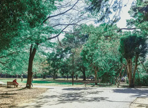 井の頭恩賜公園