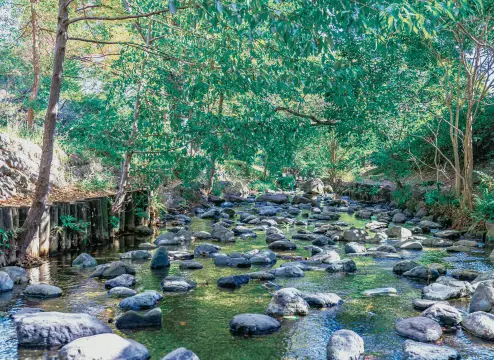 井の頭恩賜公園