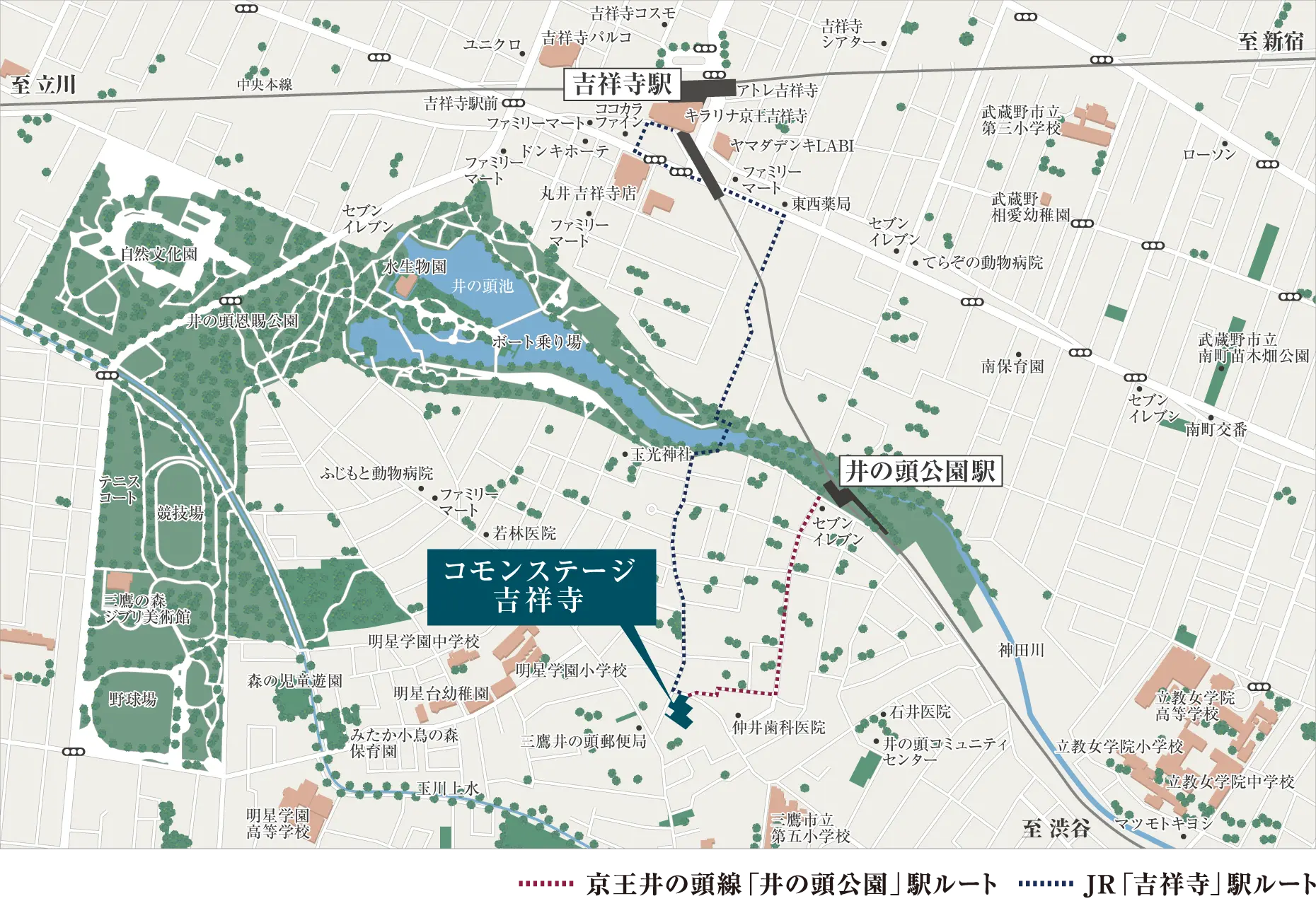 周辺地図