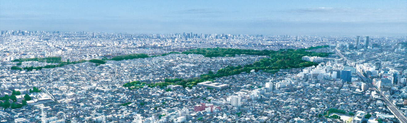 吉祥寺・井の頭エリア航空写真