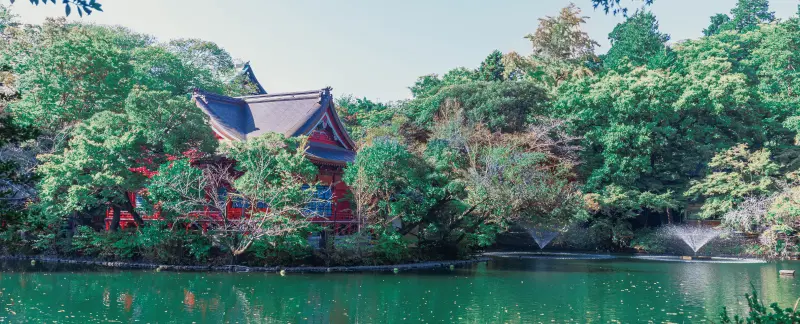 井の頭恩賜公園