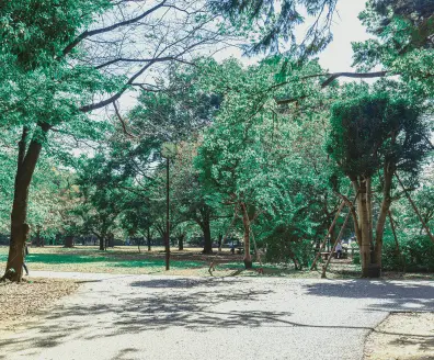 井の頭恩賜公園