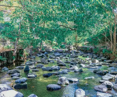 井の頭恩賜公園