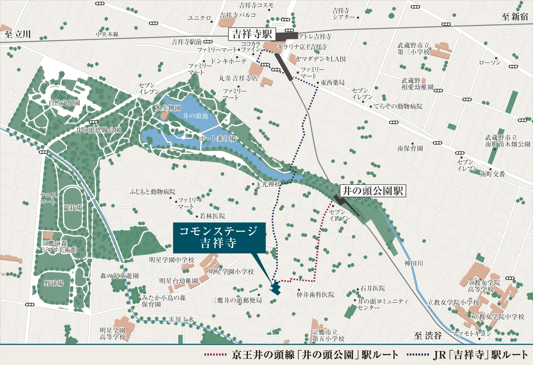 周辺地図