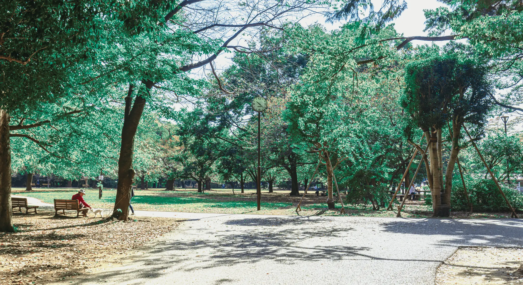 井の頭恩賜公園