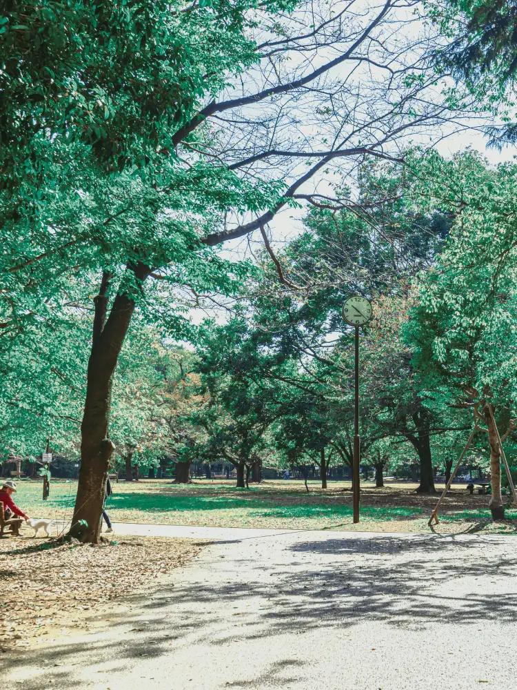 井の頭恩賜公園