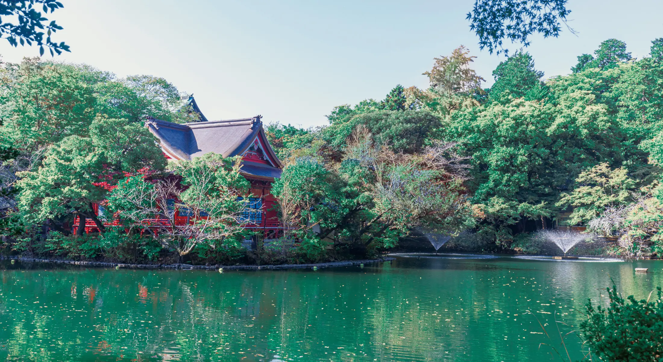 井の頭恩賜公園