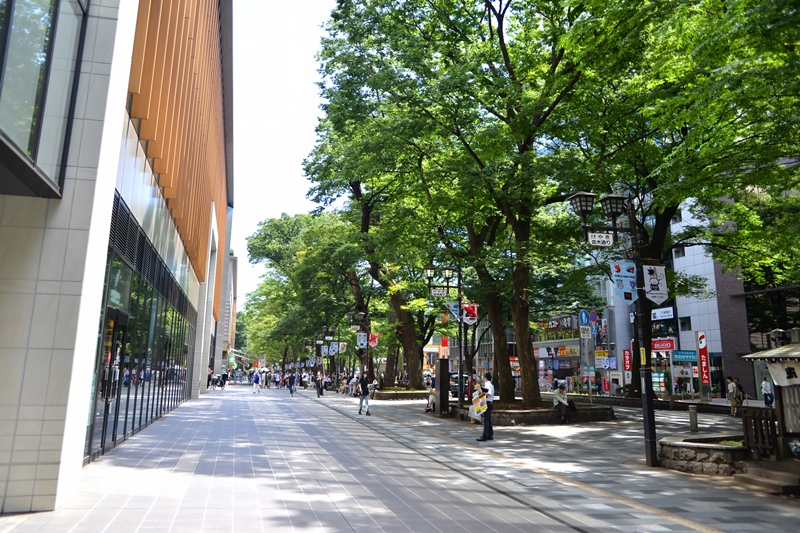 「ケヤキ並木通り」と「府中」駅間の歩道（現地から1100m～1120m／徒歩14分（最長））