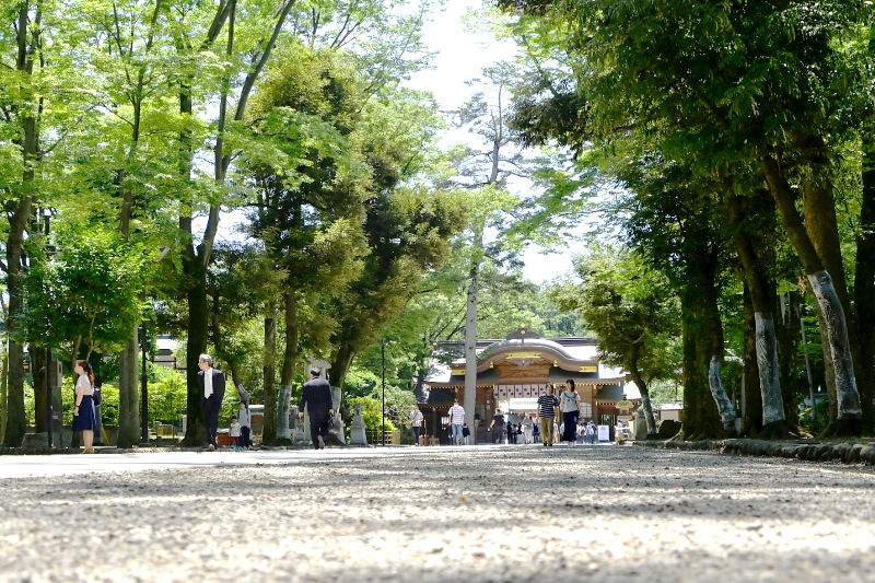 1900年以上の歴史がある「大國魂神社」（現地から790m～810m／徒歩10分～11分）
