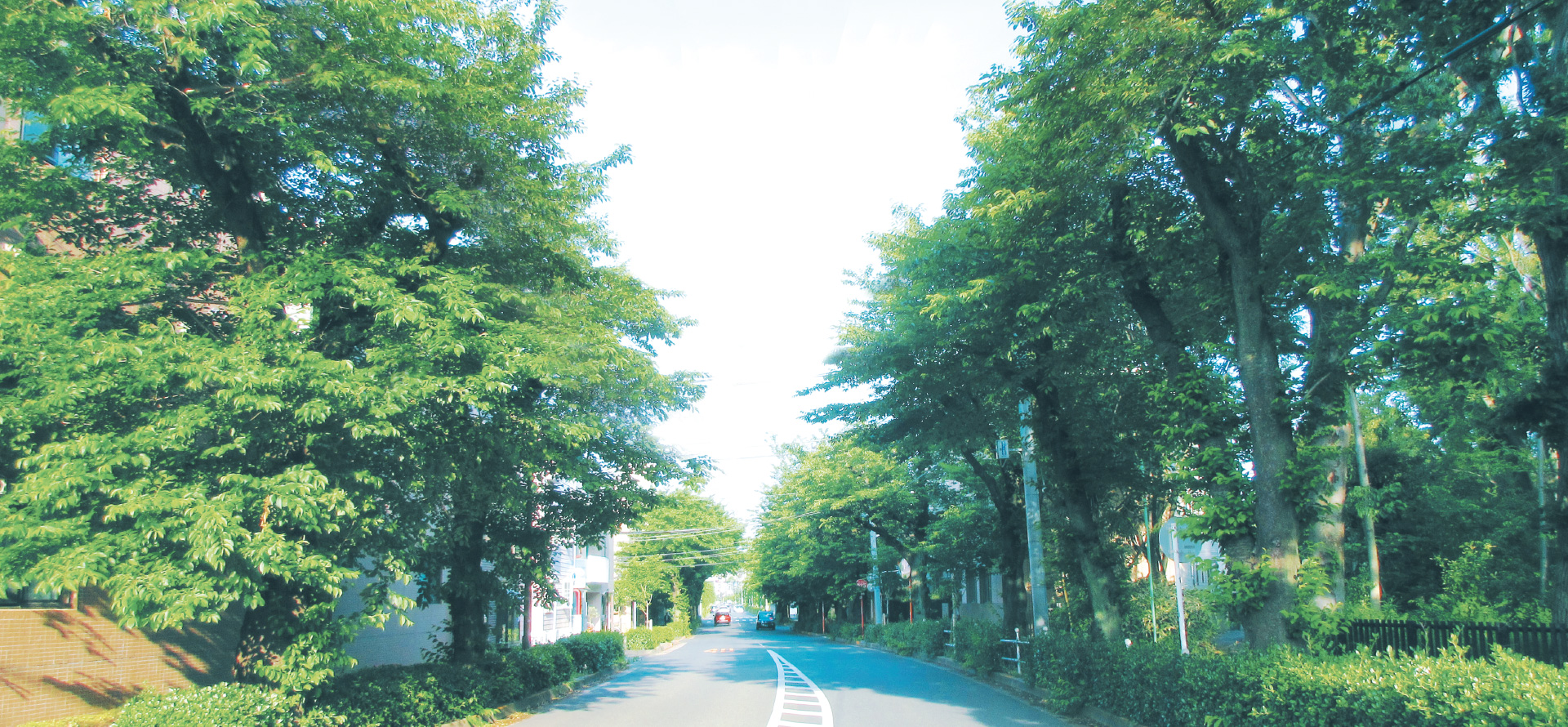 現地付近の街並み