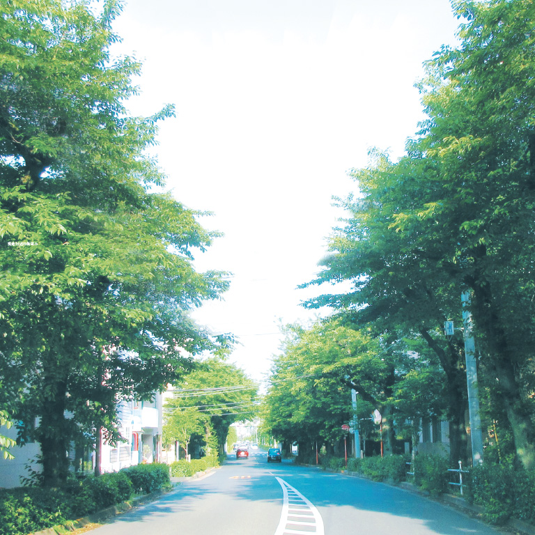 現地付近の街並み