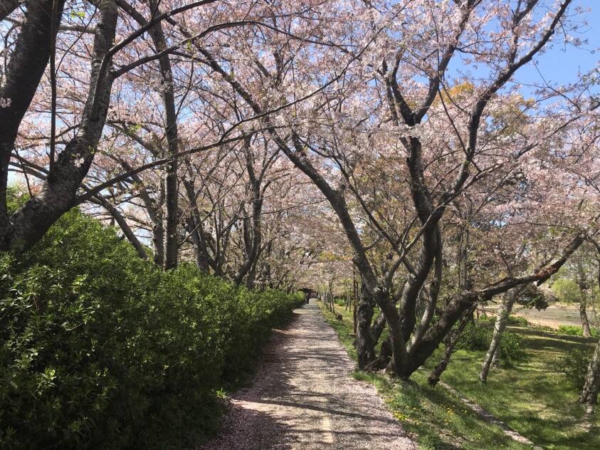 岩田運動公園