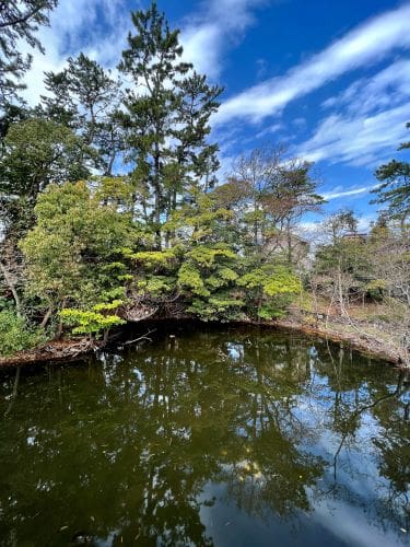 下藤が谷公園