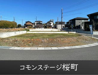 コモンステージ桜町