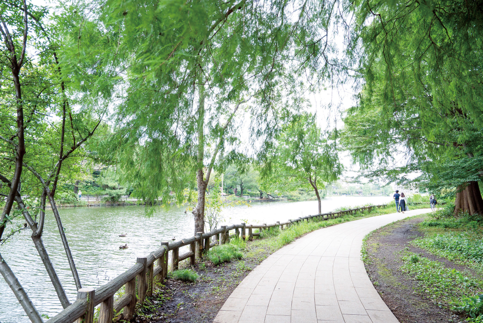 都立石神井公園