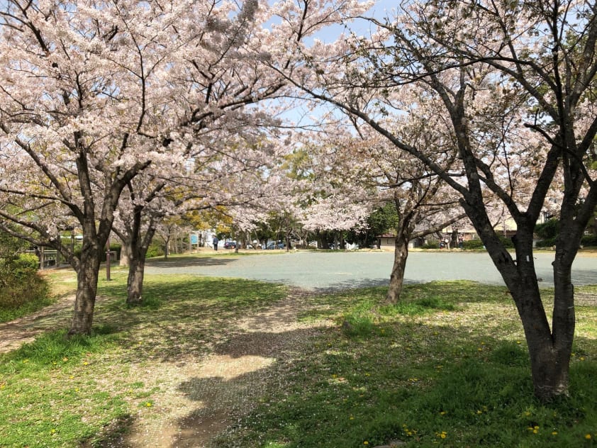 柱第二公園