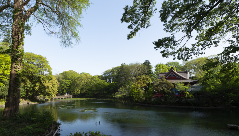 三鷹市と武蔵野市にまたがる大きな公園で、園内には170種を超える動物を飼育している自然文化園もあり、多くの方に親しまれています。