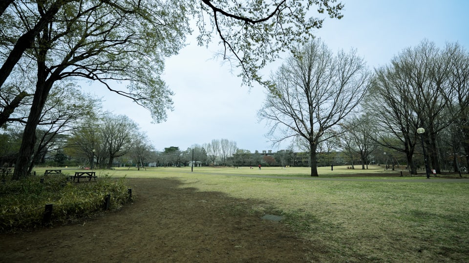杉並区立　柏の宮公園