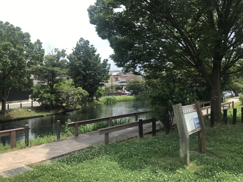中郷温水池公園