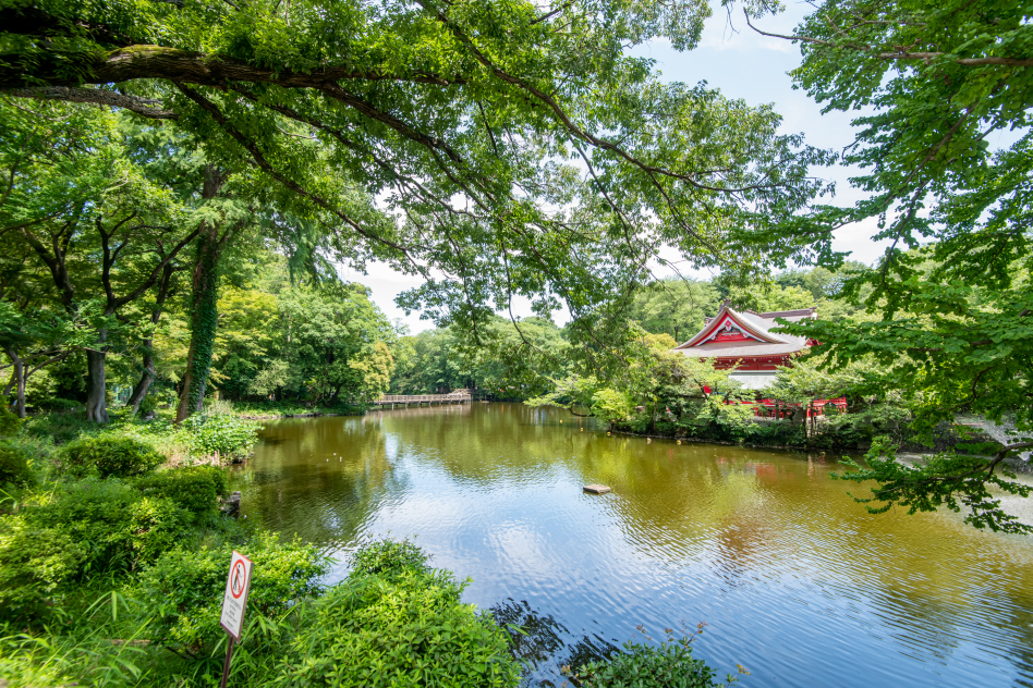 井の頭恩賜公園