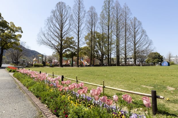 長良公園