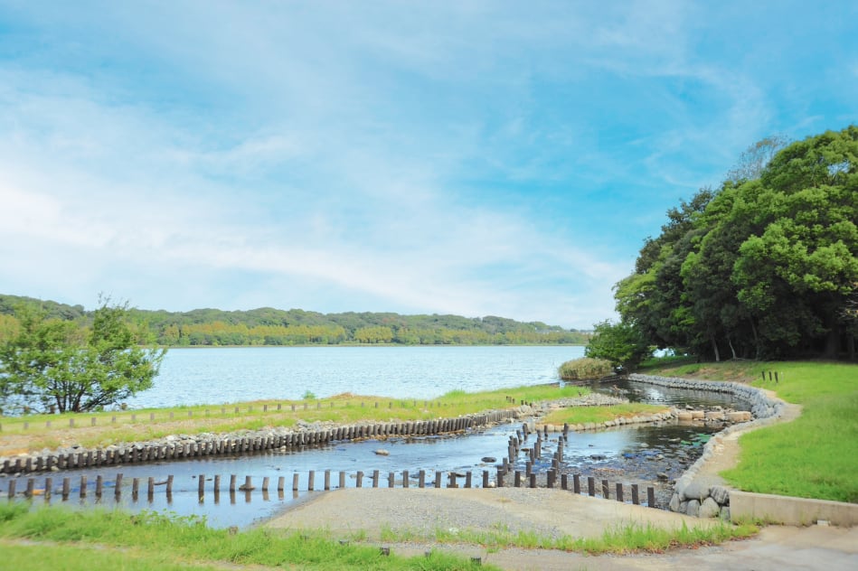 佐鳴湖公園