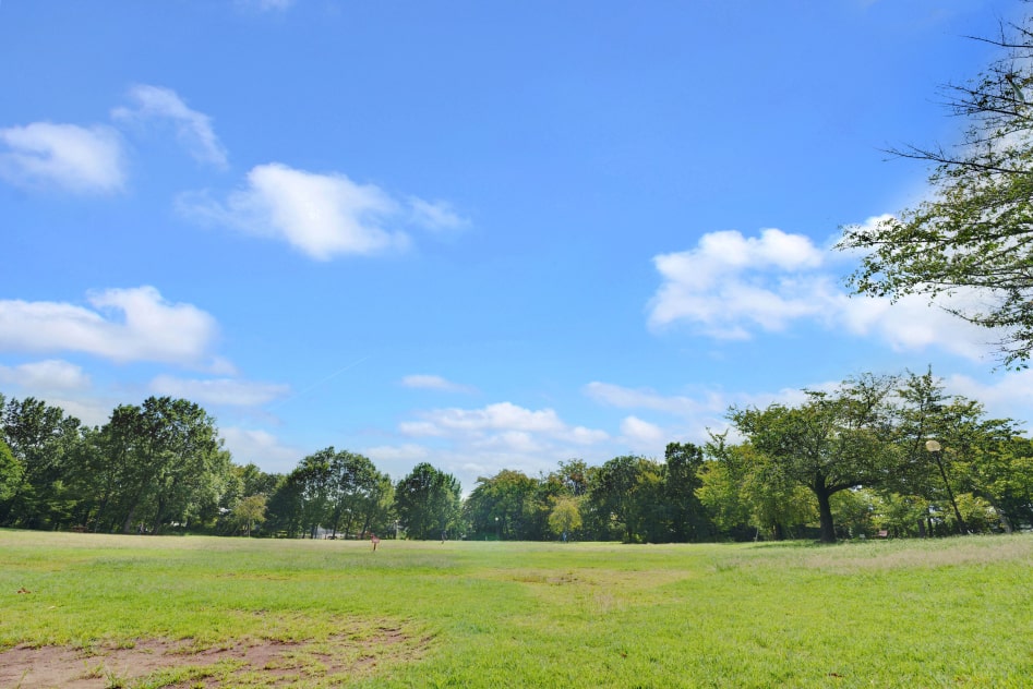 柏の宮公園