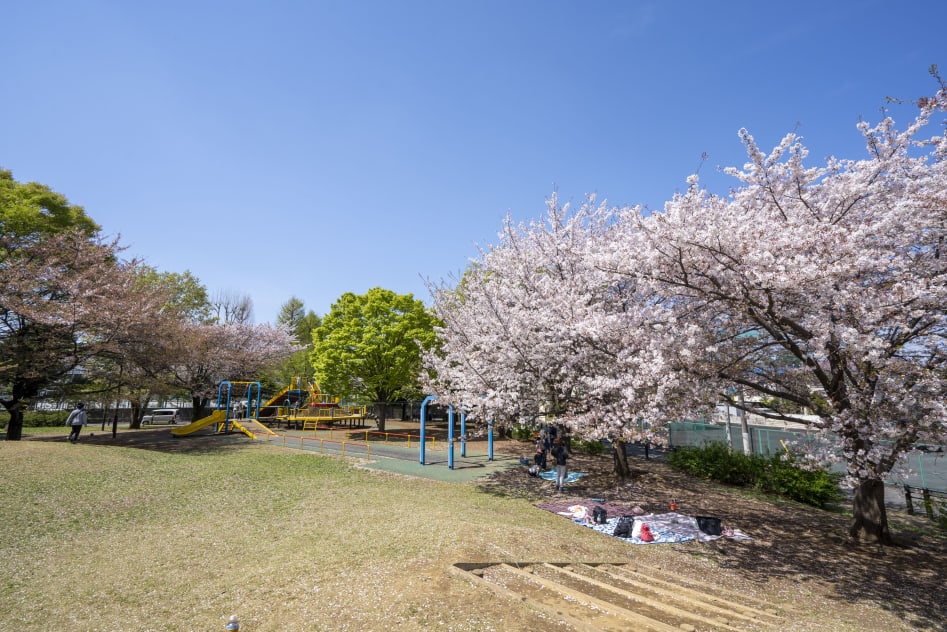 東京都立和田堀公園